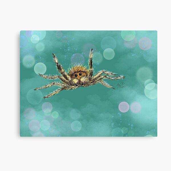 Jumping Spider-Midair! Canvas Print