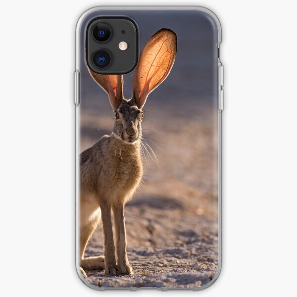Let the Sun Shine Through iPhone Soft Case
