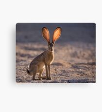Let the Sun Shine Through Canvas Print