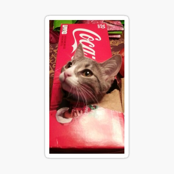 Mitzi in Coke Box Sticker