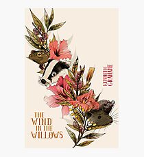 The Wind In The Willows Photographic Print