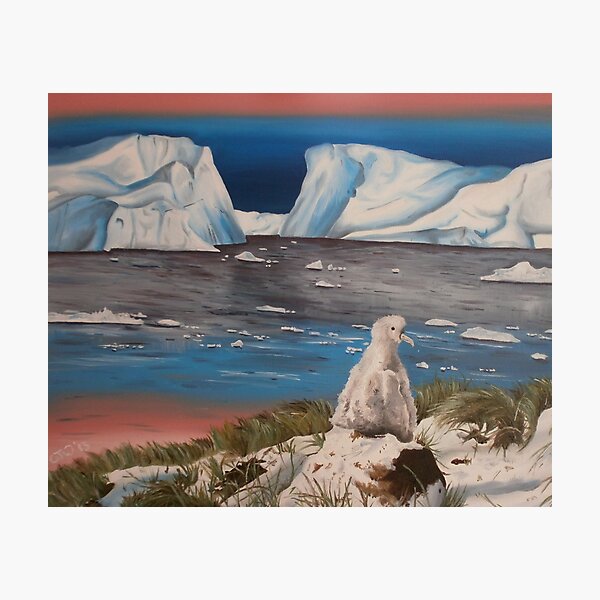 Barren Photographic Print