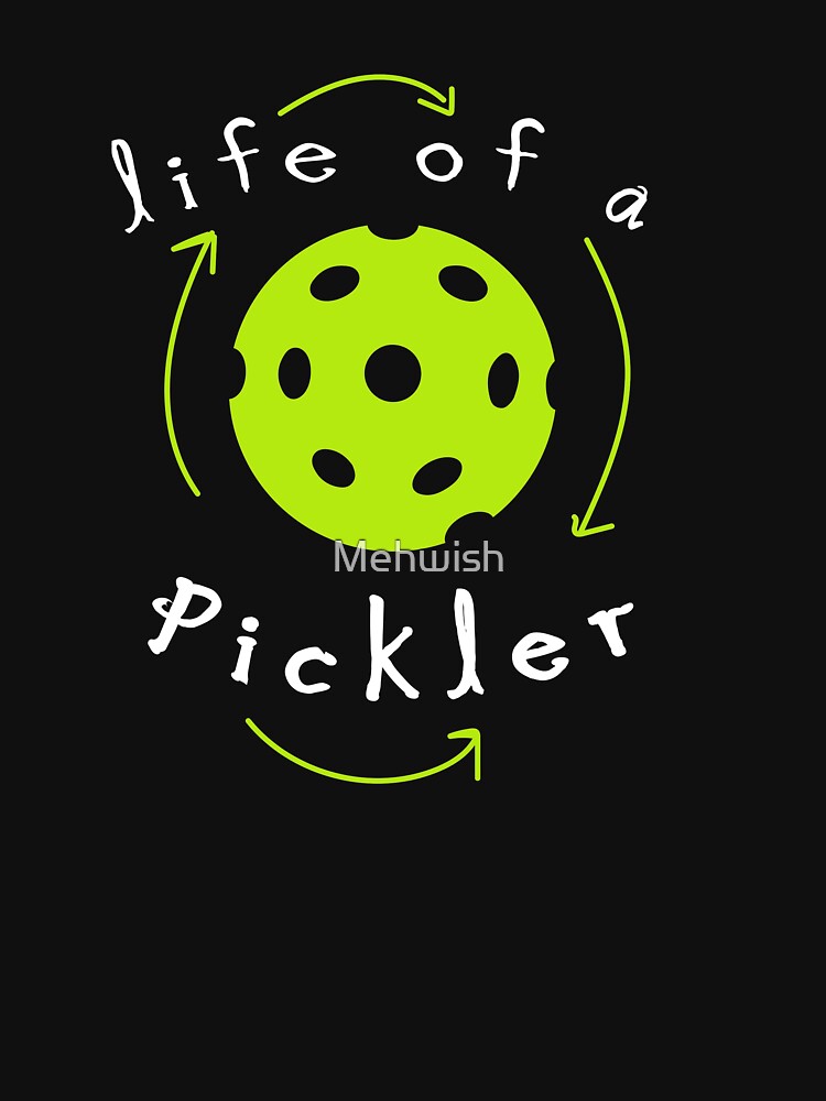 Life Cycle of a Pickler by Mehwish