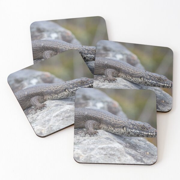 Item preview, Eastern crevice skink (Egernia mcpheei) designed and sold by Trent Townsend.