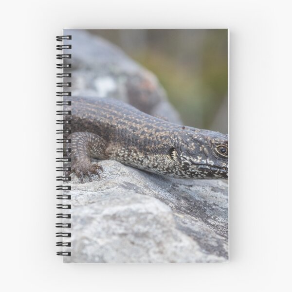 Item preview, Eastern crevice skink (Egernia mcpheei) designed and sold by Trent Townsend.