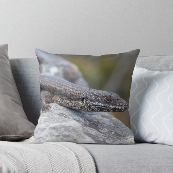Item preview, Eastern crevice skink (Egernia mcpheei) designed and sold by Trent Townsend.