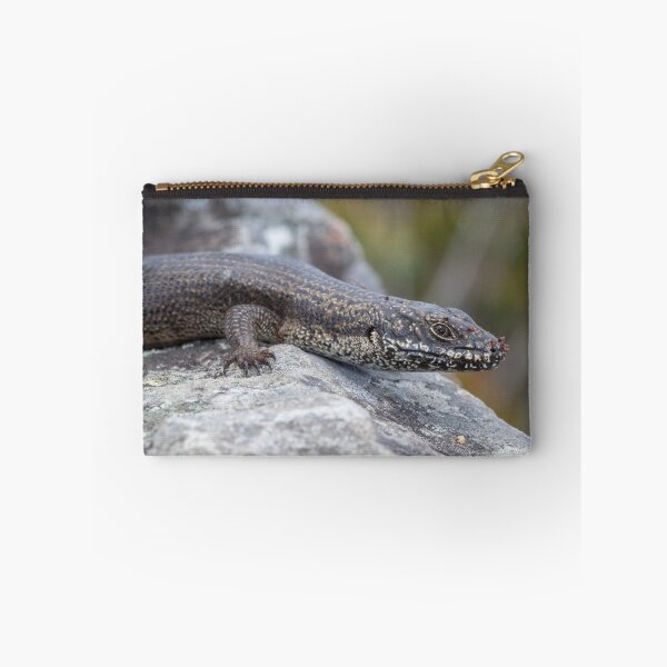 Item preview, Eastern crevice skink (Egernia mcpheei) designed and sold by Trent Townsend.