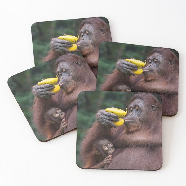 Item preview, Orang Utan and Baby designed and sold by David ST Loh Images.