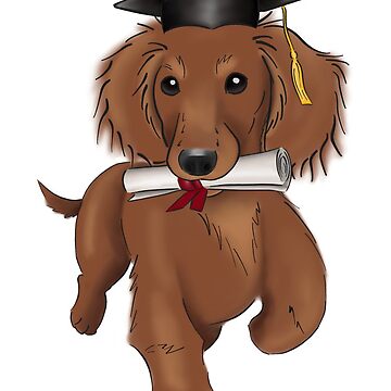 Dog graduation hi-res stock photography and images - Page 2 - Alamy