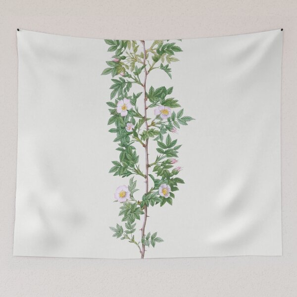 Item preview, Les Roses by Pierre-Joseph Redouté designed and sold by EsotericBotanic.