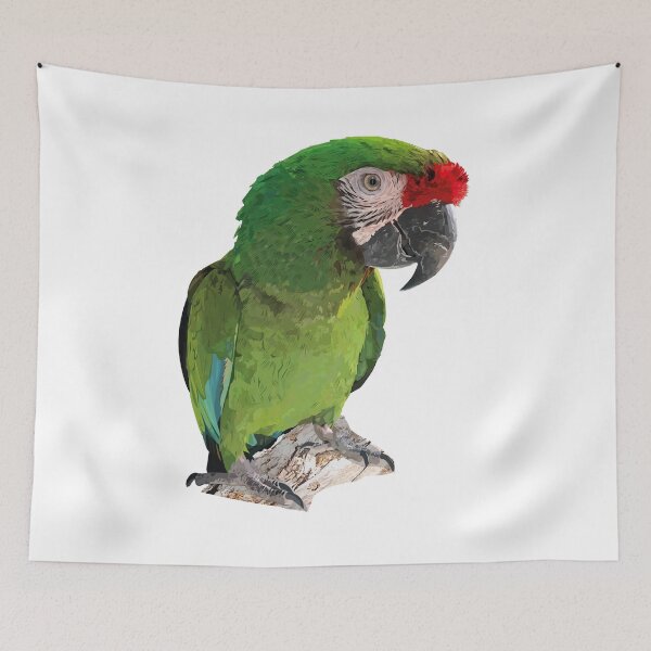 Item preview, Green macaw designed and sold by obscurite.