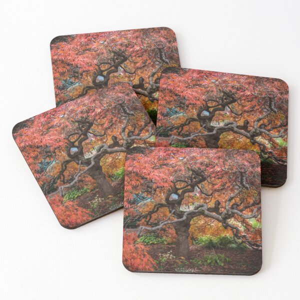 Item preview, Japanese Maple, Olinda, Dandenong Ranges, Victoria, Australia designed and sold by Vicki Walsh.