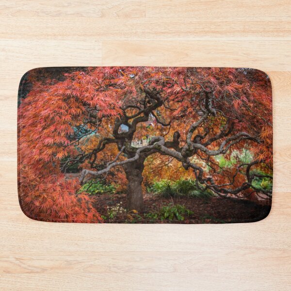 Item preview, Japanese Maple, Olinda, Dandenong Ranges, Victoria, Australia designed and sold by Vicki Walsh.