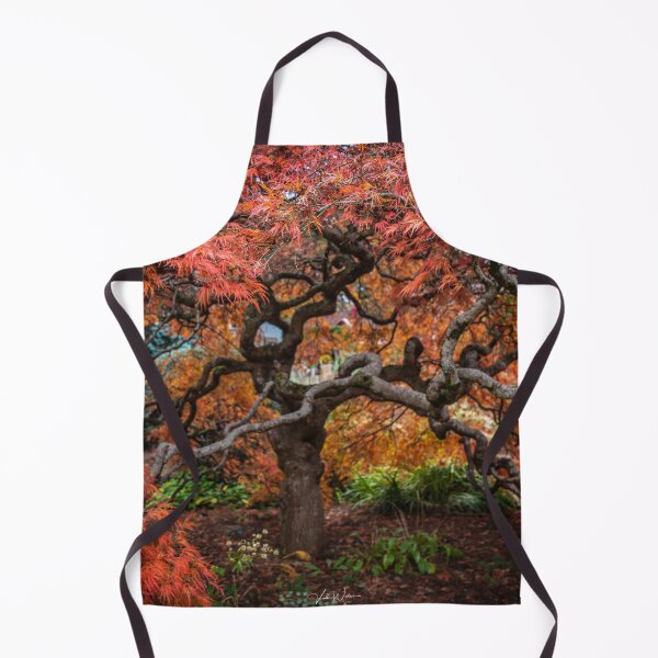 Item preview, Japanese Maple, Olinda, Dandenong Ranges, Victoria, Australia designed and sold by Vicki Walsh.