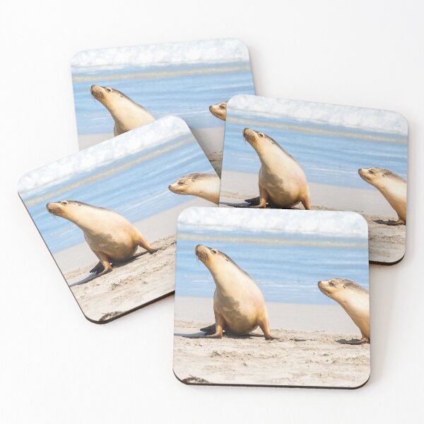 Item preview, Australian Sea Lions designed and sold by Catherine Reading.