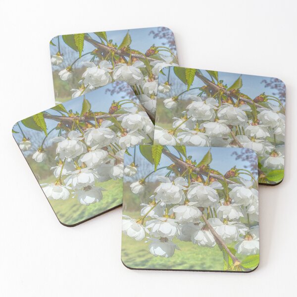 Item preview, Soft White Cherry Blossom designed and sold by Alisonchambers2.