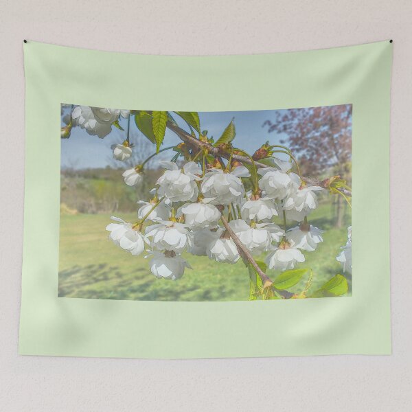 Item preview, Soft White Cherry Blossom designed and sold by Alisonchambers2.