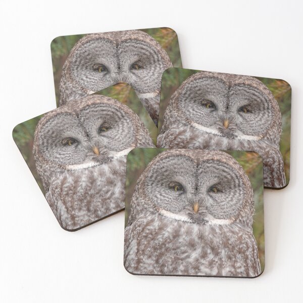 Item preview, Great Grey Owl designed and sold by Catherine Reading.