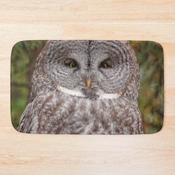 Item preview, Great Grey Owl designed and sold by Catherine Reading.