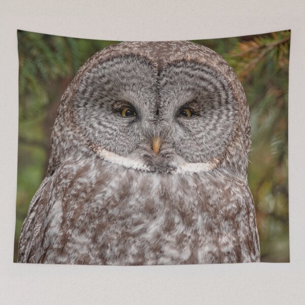 Item preview, Great Grey Owl designed and sold by Catherine Reading.