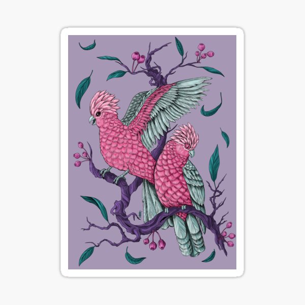 Pretty in Pink Galahs Sticker