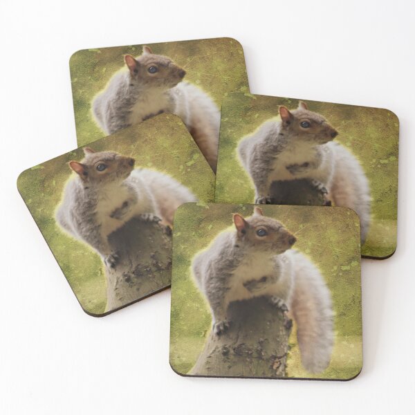 Item preview, Squirrel in Waiting designed and sold by Ladymoose.