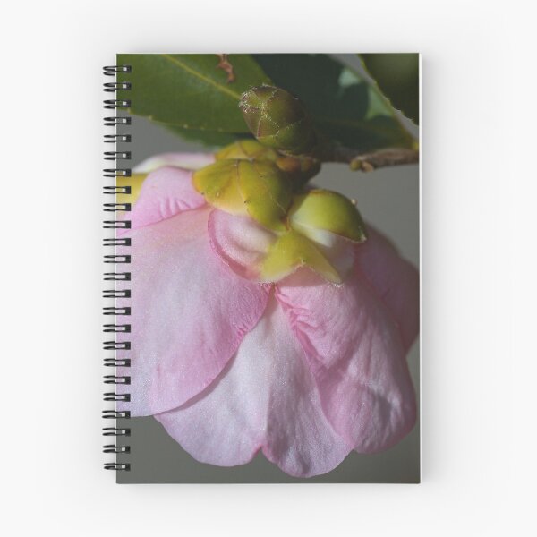 Item preview, Her Head Lowered Camellia Flower  designed and sold by Joy Watson - Natural Light Photography .