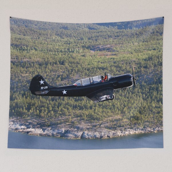 Item preview, Yak 52 designed and sold by FotoJarmo.