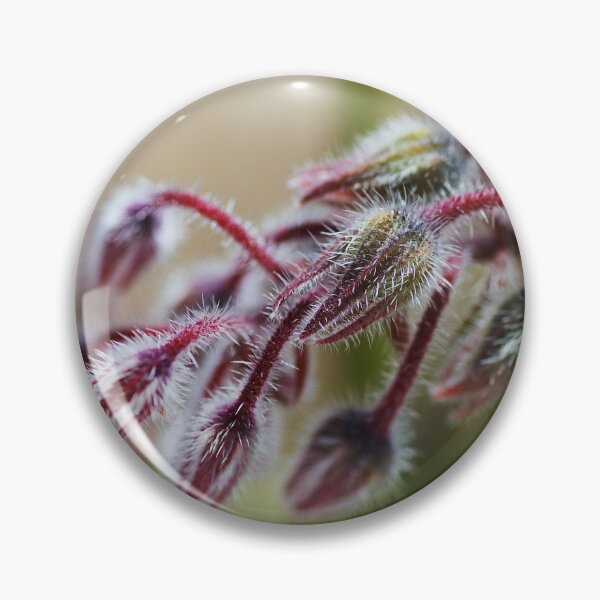 Item preview, Borage Plant Buds Red designed and sold by Joy Watson - Natural Light Photography .