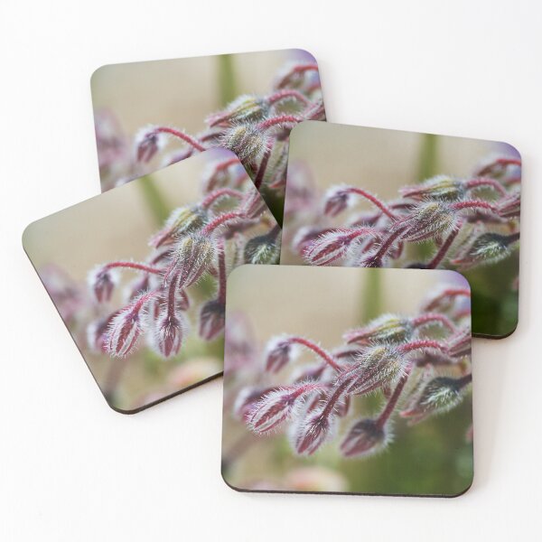 Item preview, Borage Plant Buds Red designed and sold by Joy Watson - Natural Light Photography .