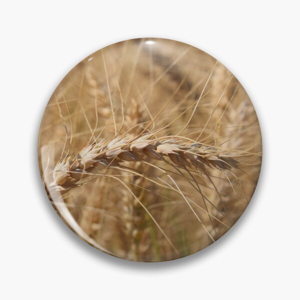 Item preview, Grains of Israel designed and sold by DanaLauraPhoto.
