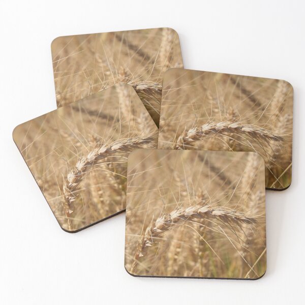 Item preview, Grains of Israel designed and sold by DanaLauraPhoto.