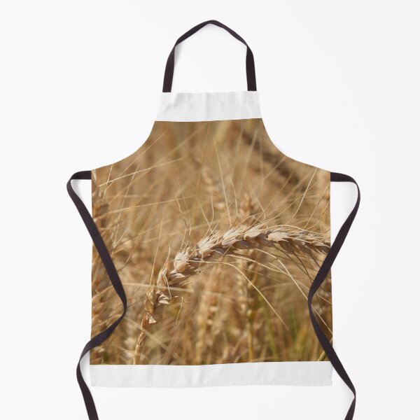Item preview, Grains of Israel designed and sold by DanaLauraPhoto.