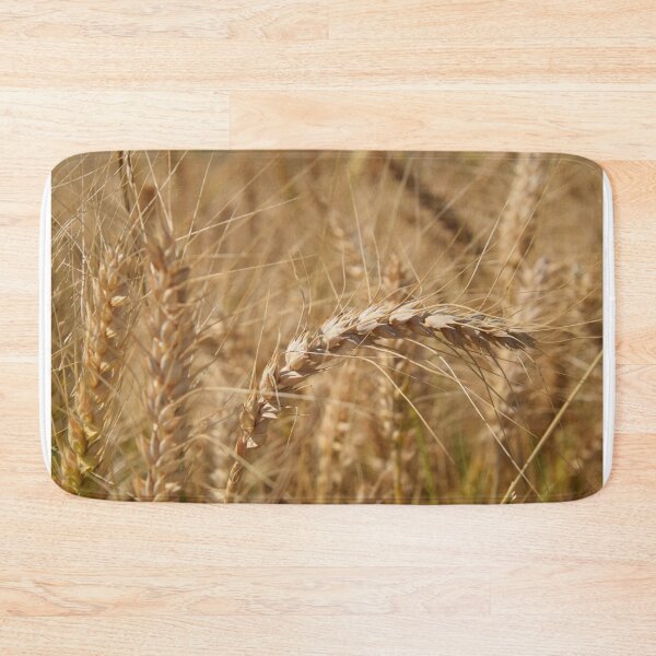 Item preview, Grains of Israel designed and sold by DanaLauraPhoto.