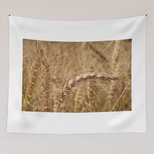 Item preview, Grains of Israel designed and sold by DanaLauraPhoto.