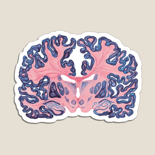 Item preview, Gyri and Swirls of Human Brain designed and sold by Heatherbondi.