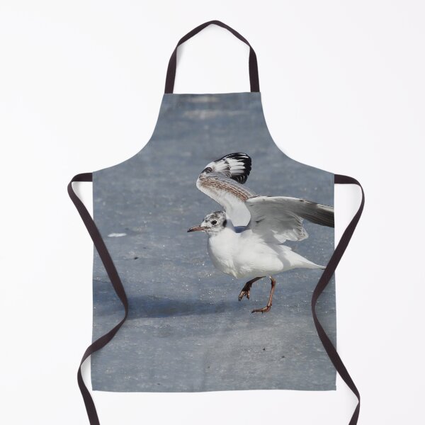 Item preview, Ready stedy go. Black-headed gull designed and sold by Jouko Lehto Photography.
