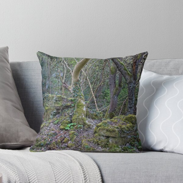 Item preview, Ruined Buildings, Derwent Valley designed and sold by Rob Cole Photography.