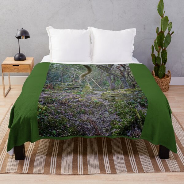 Item preview, Ruined Buildings, Derwent Valley designed and sold by Rob Cole Photography.
