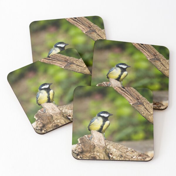 Item preview, Great Tit, Parus Major designed and sold by Rob Cole Photography.