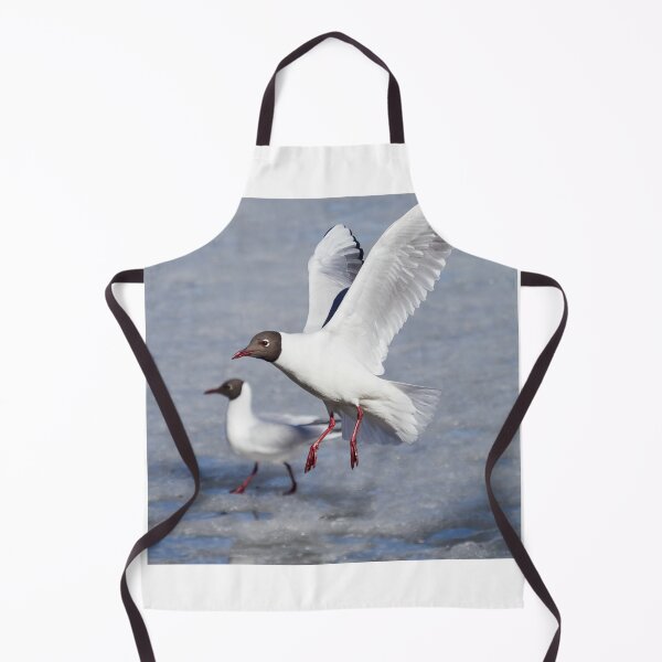 Item preview, Hello there how are you. Black-headed gull designed and sold by Jouko Lehto Photography.