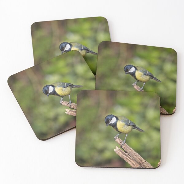 Item preview, Great Tit, Parus Major designed and sold by Rob Cole Photography.
