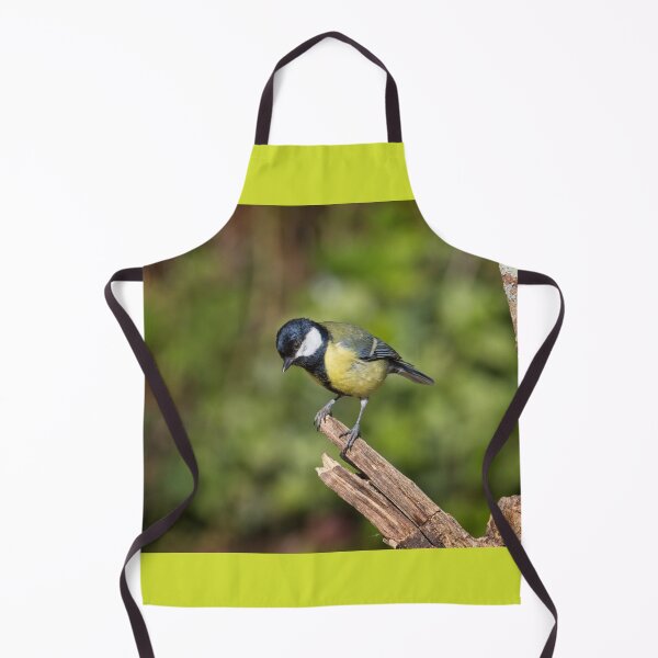 Item preview, Great Tit, Parus Major designed and sold by Rob Cole Photography.