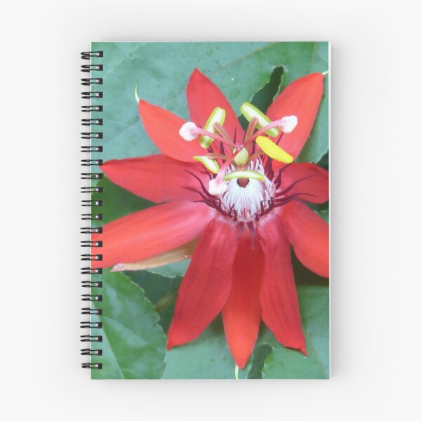 Item preview, colors of the tropical zone - colores de la zona tropical designed and sold by Bernhard Matejka.