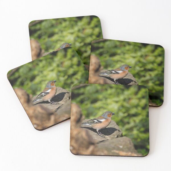 Item preview, Chaffinch, Fringilla coelebs designed and sold by Rob Cole Photography.