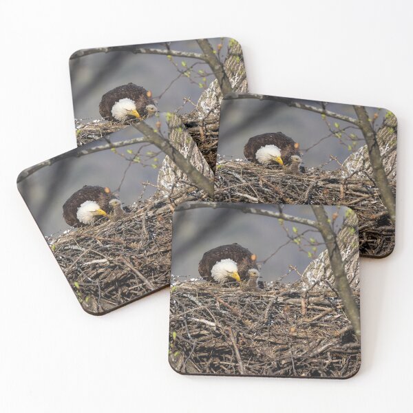 Item preview, Mom with her Eaglet designed and sold by Rob Lavoie.