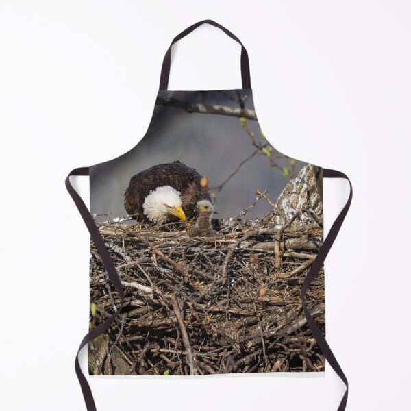 Item preview, Mom with her Eaglet designed and sold by Rob Lavoie.