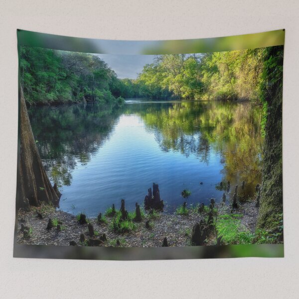 Item preview, River Rise - River Rise Preserve State Park, FL designed and sold by Kathy Weaver.