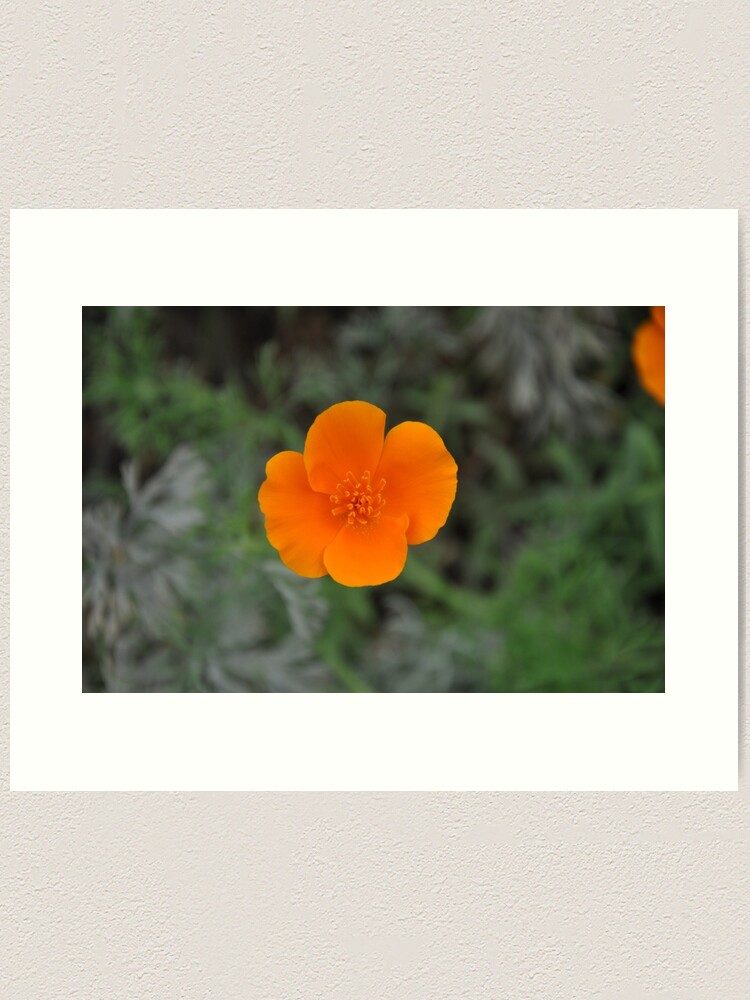 Alternate view of Flower power Art Print
