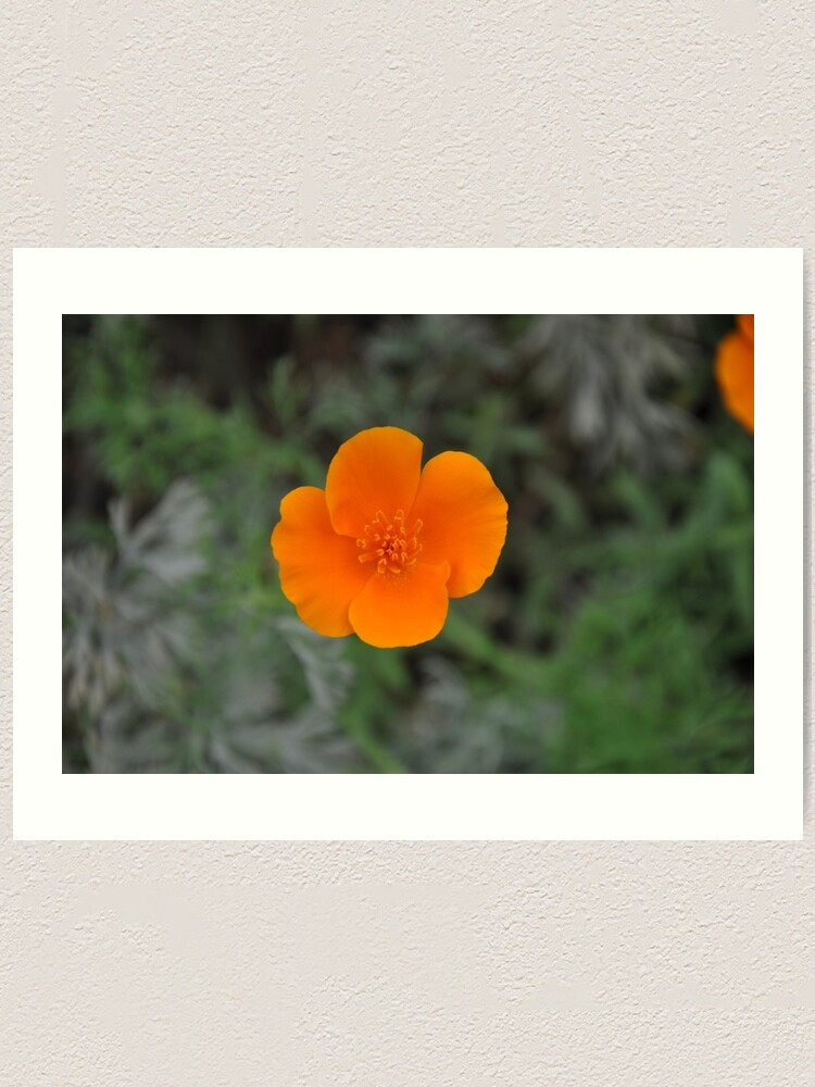 Alternate view of Flower power Art Print